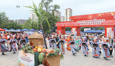 慶祝中國農民豐收節